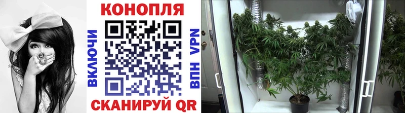Купить закладку Мураши Гашиш  СОЛЬ  Меф мяу мяу  Каннабис 